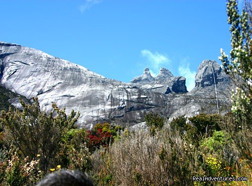 Kinabalu Park | 2D/1N Kinabalu Park/Mesilau/Sabah tea | Image #6/8 | 