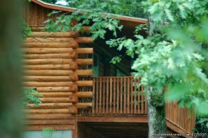 Lake Forest Cabins in the Beaver Lake Area