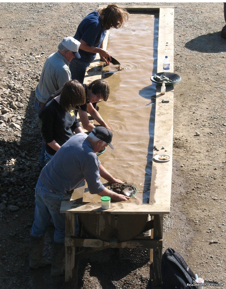 Gold panning at Chicken Gold Camp | Chicken Gold Camp and Outpost | Image #5/10 | 