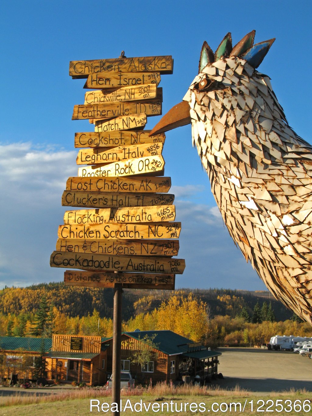 Chicken Gold Camp from 'Chicken Hill' | Chicken Gold Camp and Outpost | Chicken, Alaska  | Campgrounds & RV Parks | Image #1/10 | 