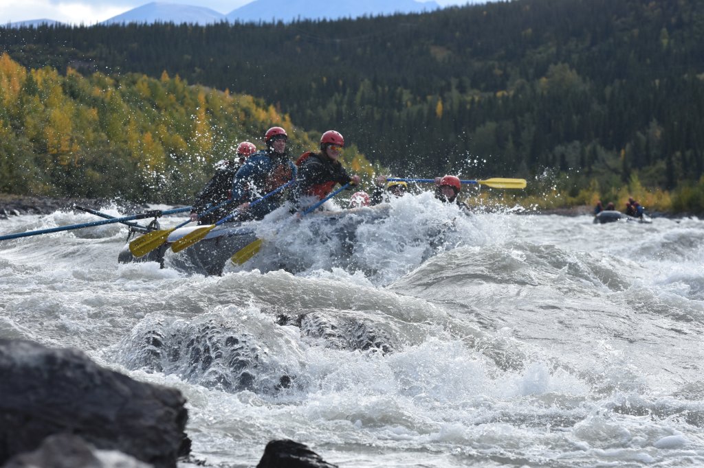 Canyon Run Paddle Raft | Denali Raft Adventures, Inc. | Image #7/9 | 