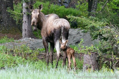 Mama and baby