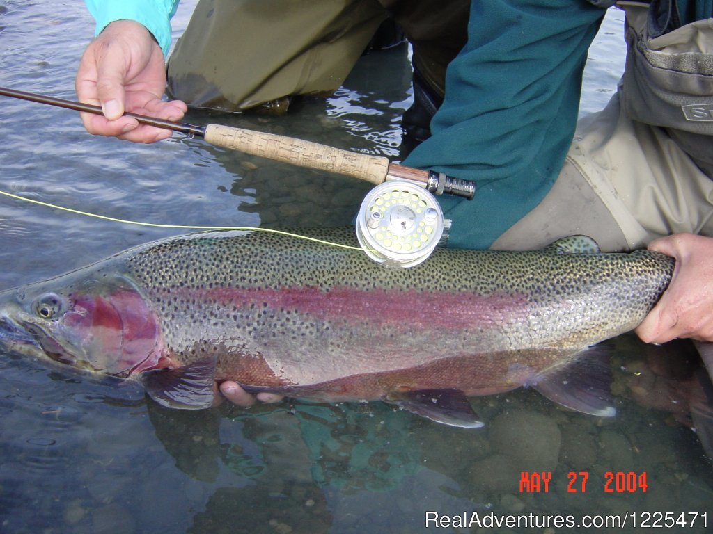 Alaska's finest Fly Fishing | Alaska's Destination for Adventure | Image #7/17 | 