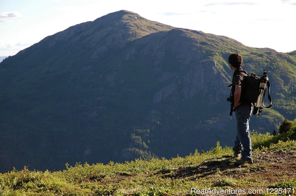 Chugach National Forest Hiking | Alaska's Destination for Adventure | Image #8/17 | 