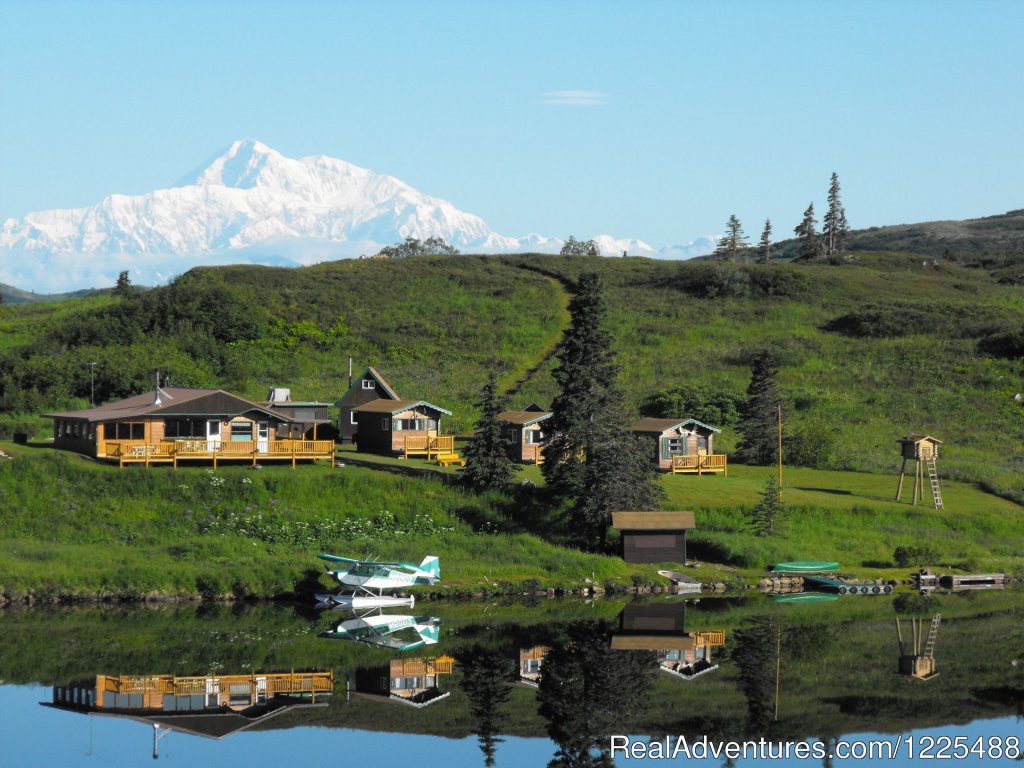 Black Bears | Caribou Lodge Alaska | Image #3/11 | 