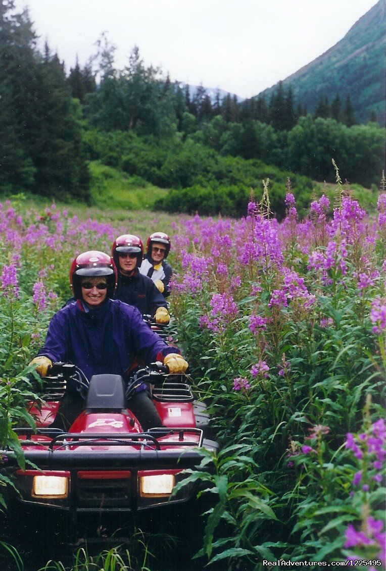 Alaska Atv Adventures | Image #4/5 | 