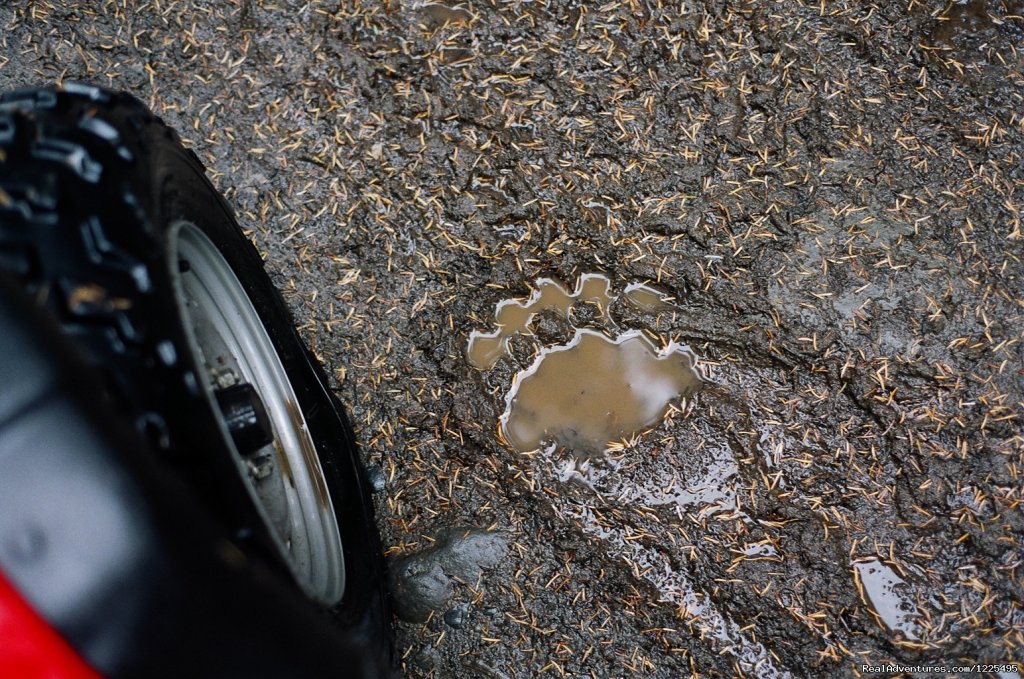 Alaska Atv Adventures | Image #5/5 | 