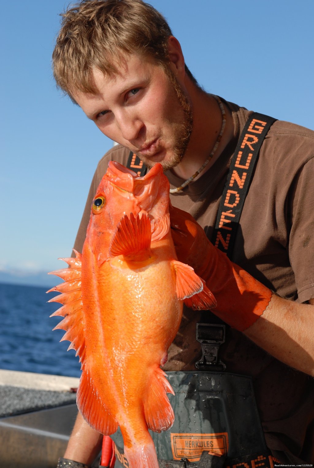 Homer Ocean Charters | Experience Alaska with Homer Ocean Charters | Image #3/8 | 