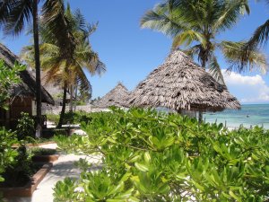 Accommodation Bed/ Breakfasts | Jambiani -Zanzibar, Tanzania | Bed & Breakfasts