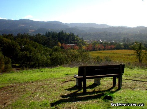 Hiking and sitting at Hillcrest Country Inn