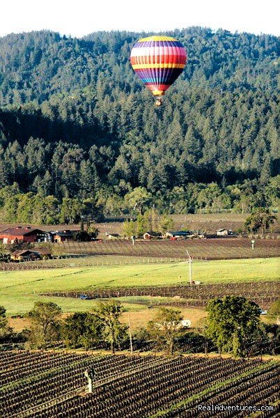 Balloons above Hillcrest