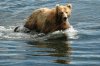 Sky Trekking Alaska | Far North, Alaska