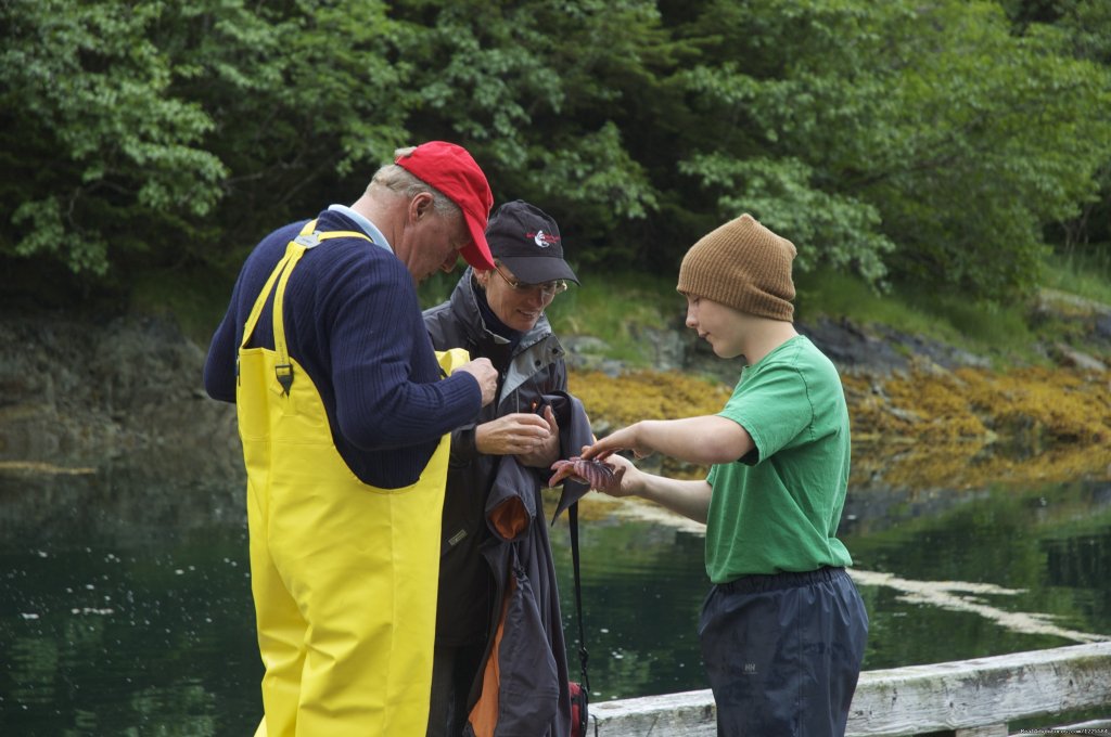 Sea shore discovery | Sky Trekking Alaska | Image #10/22 | 