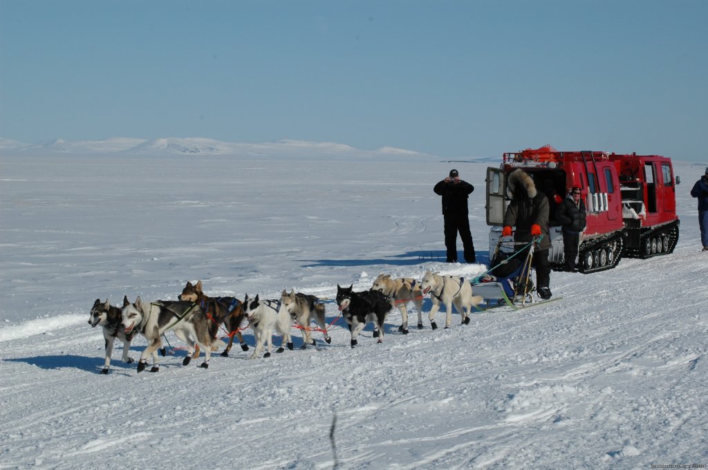 Snow Cat Tour along the Iditarod Trail | Sky Trekking Alaska | Image #20/22 | 