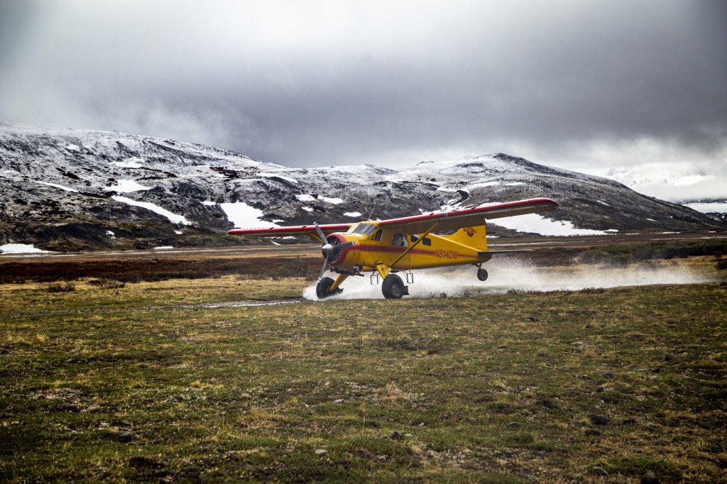 Soar Over Countless Glaciers | Wrangell Mountain Air | McCarthy, Alaska  | Scenic Flights | Image #1/7 | 