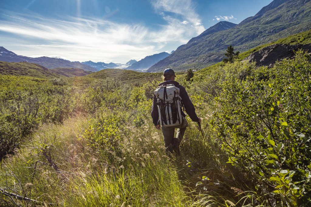 Backcountry Hiking | Wrangell Mountain Air | Image #2/7 | 