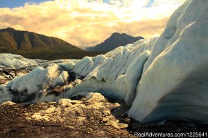 Alaska Small Group Guided Wildlife & Glacier Tours | Anchorage, Alaska | Sight-Seeing Tours