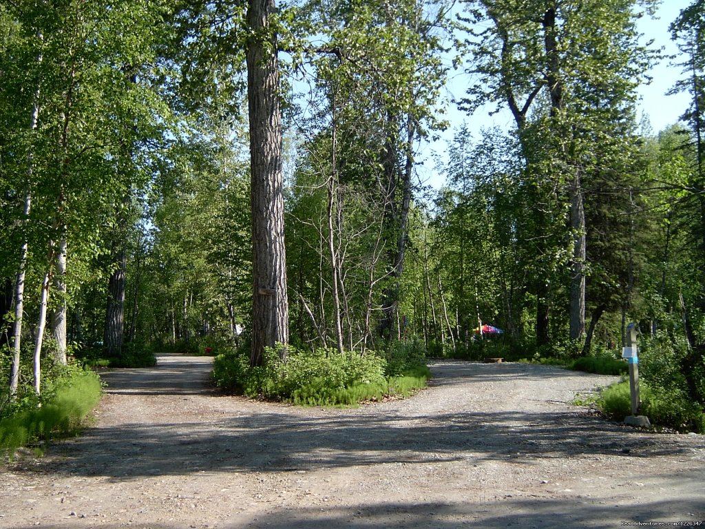 Montana Creek Campground | Image #17/20 | 