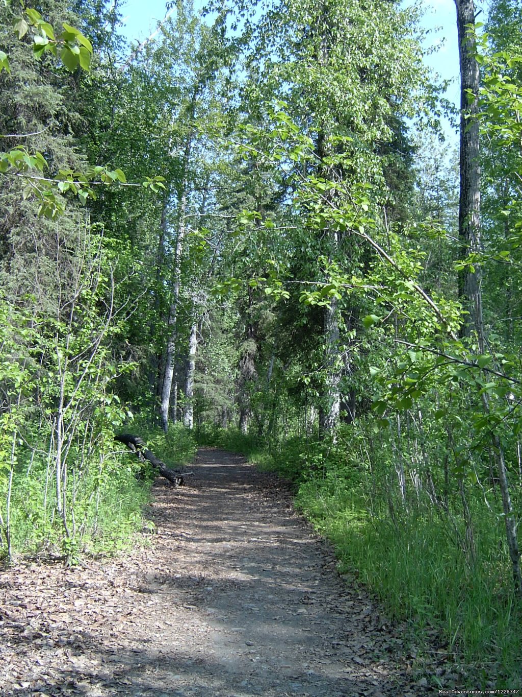 Montana Creek Campground | Image #4/20 | 