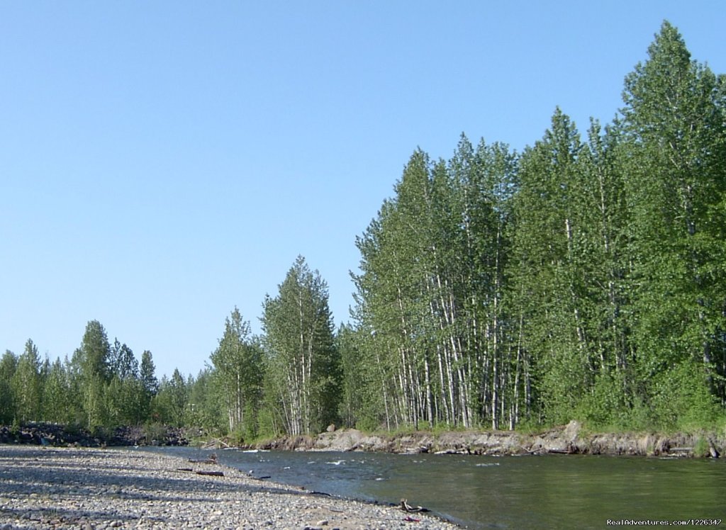 Montana Creek Campground | Image #14/20 | 