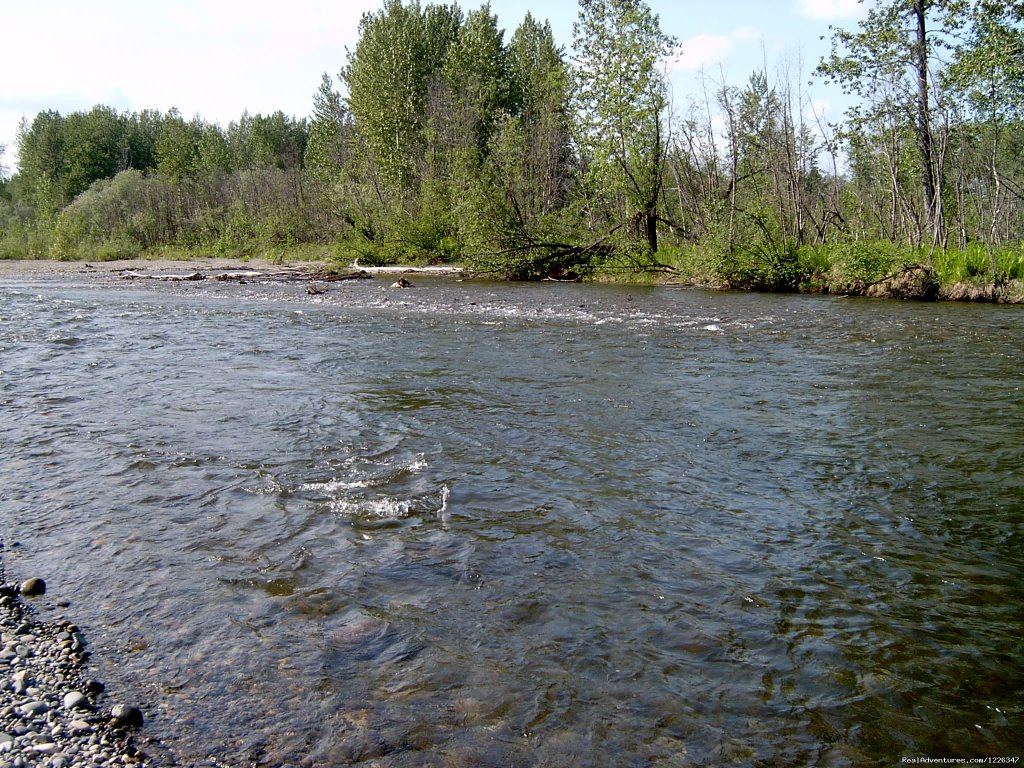 Montana Creek Campground | Image #15/20 | 