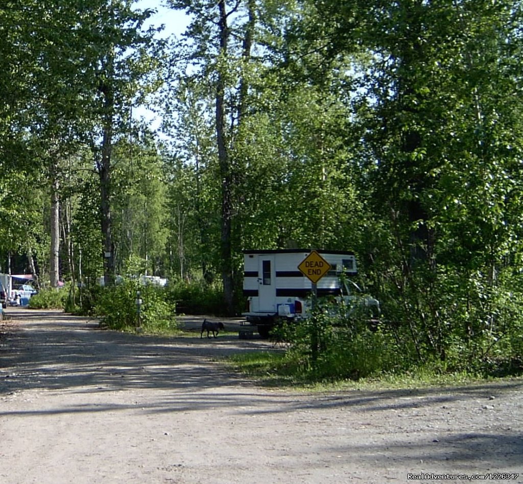 Montana Creek Campground | Image #18/20 | 