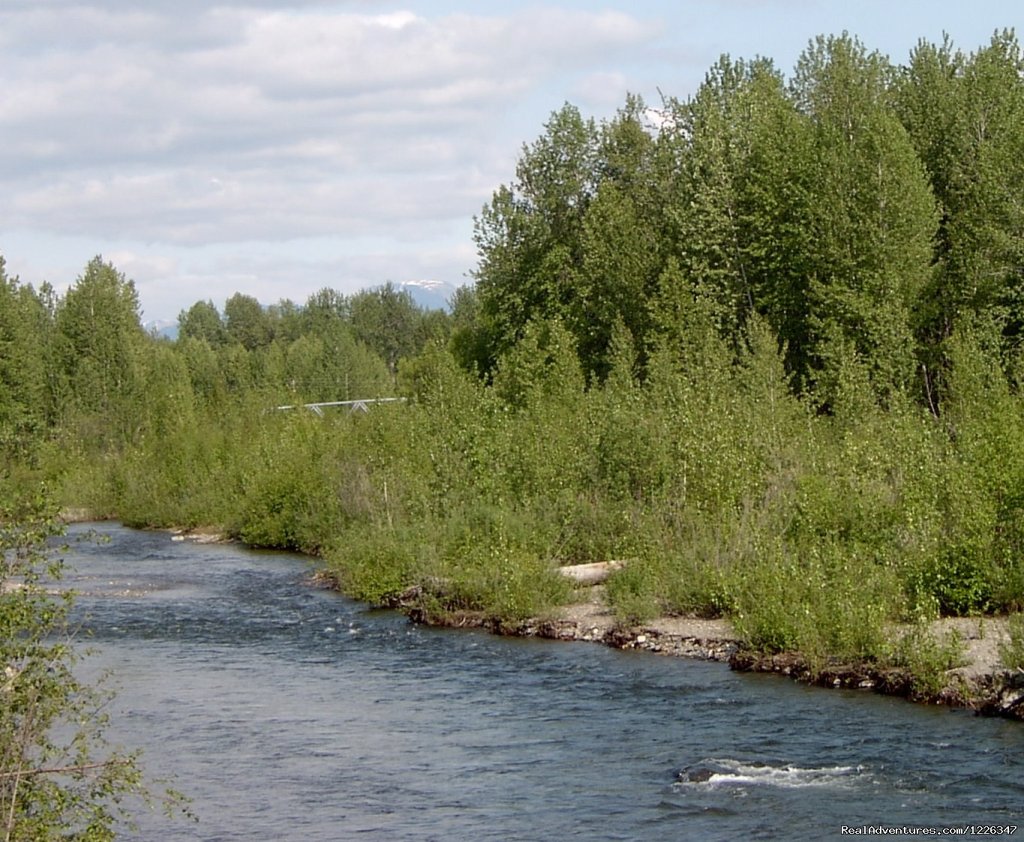 Montana Creek Campground | Image #16/20 | 