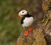 Alaska' Pribilofs -Remote. Wild and Unbelievable. | St. Paul Island, Alaska