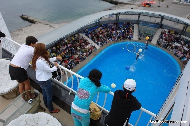 Hotels with dolphins | Odessa, Ukraine | Hotels & Resorts | Image #1/4 | 