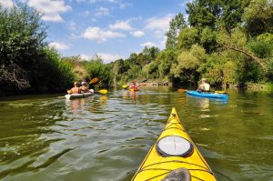 Kayaking Kamchia River