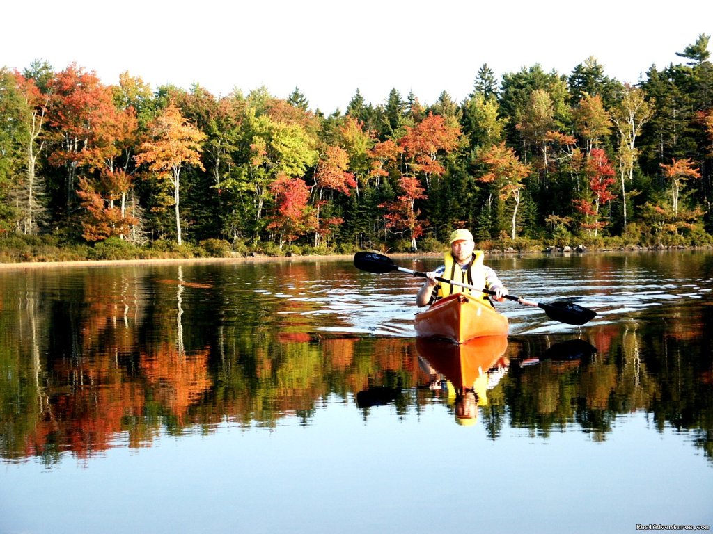 Solar Powered Williams Pond Lodge Bed & Breakfast | Image #11/25 | 