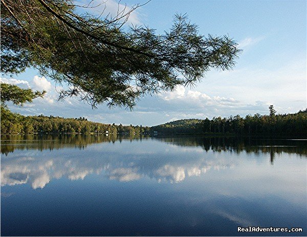 Solar Powered Williams Pond Lodge Bed & Breakfast | Image #12/25 | 