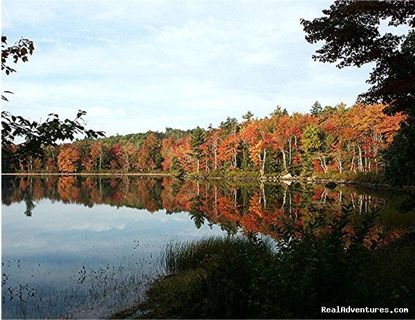 Solar Powered Williams Pond Lodge Bed & Breakfast | Image #16/25 | 