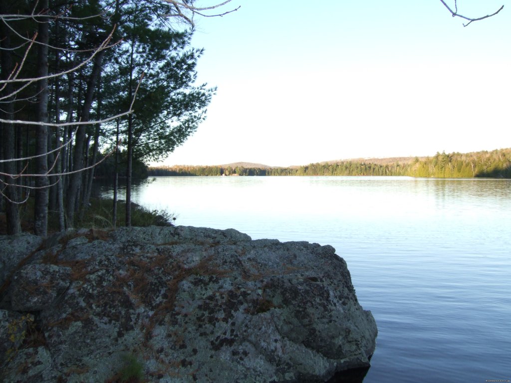 Looking down the pond. | Foggy Lodge A Home Away From Home - Book Early | Image #5/26 | 