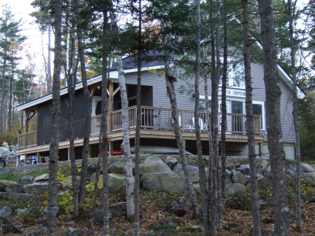 Looking up from the water | Foggy Lodge A Home Away From Home - Book Early | Image #4/26 | 