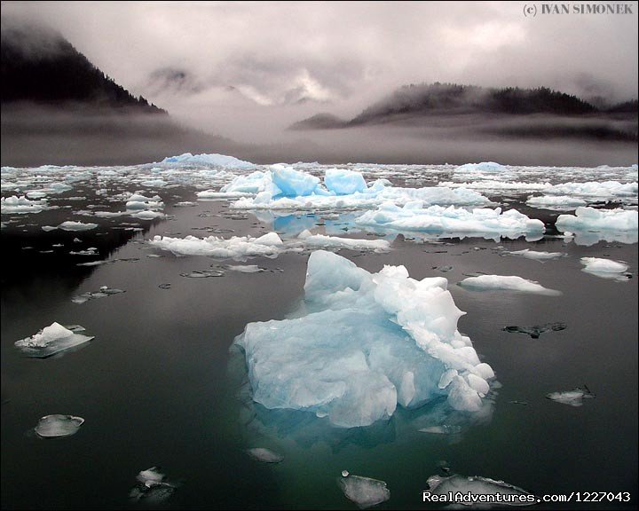 LeConte Bay | Wilderness Adventure Tours in Wrangell, Alaska | Image #9/14 | 