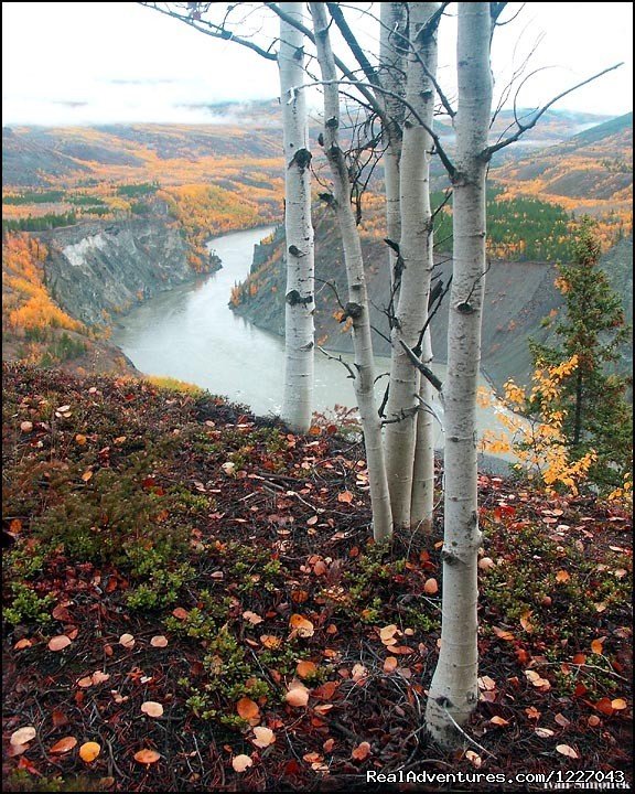 Grand Canyon of the Stikine River Vista | Wilderness Adventure Tours in Wrangell, Alaska | Image #13/14 | 