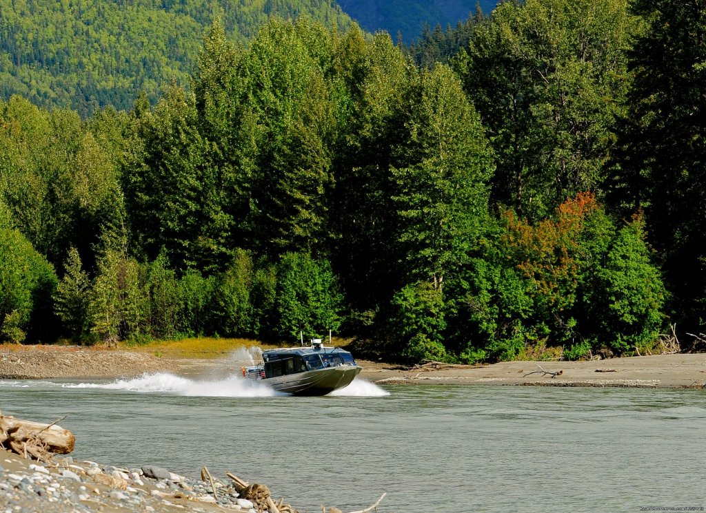 Stikine River Safari | Wilderness Adventure Tours in Wrangell, Alaska | Image #14/14 | 