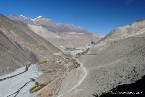 Mustang Forbidden Trekking | Image #3/3 | 