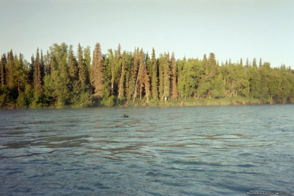 Alaskan Wooden Bear Cabins | Image #7/9 | 