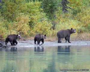 High Adventure Air Charter | Soldotna, Alaska | Scenic Flights