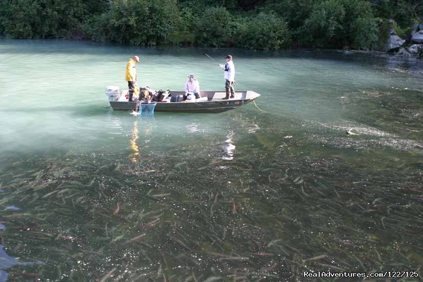 Sockeye | High Adventure Air Charter | Image #14/15 | 