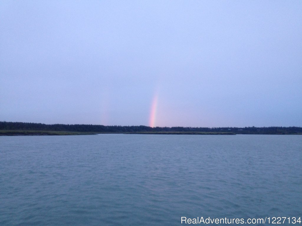 Salmon fishing in Alaska with Eric Loomis Fishing | Image #6/13 | 