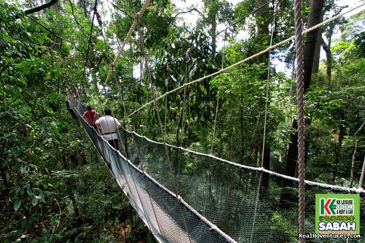 Canopy Walk at Poring Hot Spring, Ranau | 5d/4n Sabah Below The Wind Esplanade Packages | Image #7/23 | 