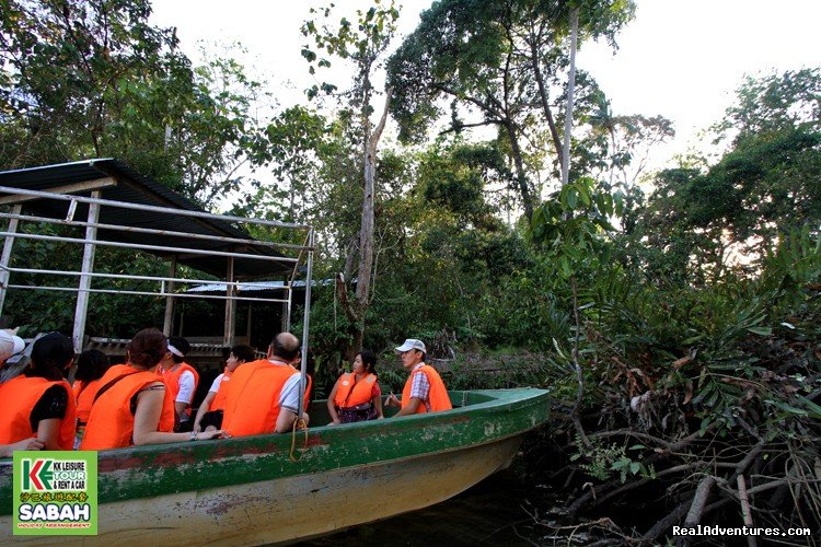 Proboscis Monkey River Cruise | 5d/4n Sabah Below The Wind Esplanade Packages | Image #20/23 | 