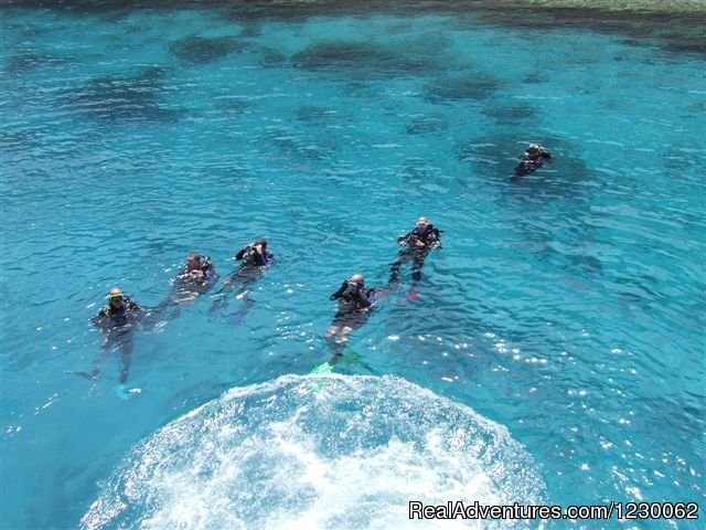 Diving in Eilat | 'Ocean Yacht' in Eilat-Red Sea | Image #4/9 | 