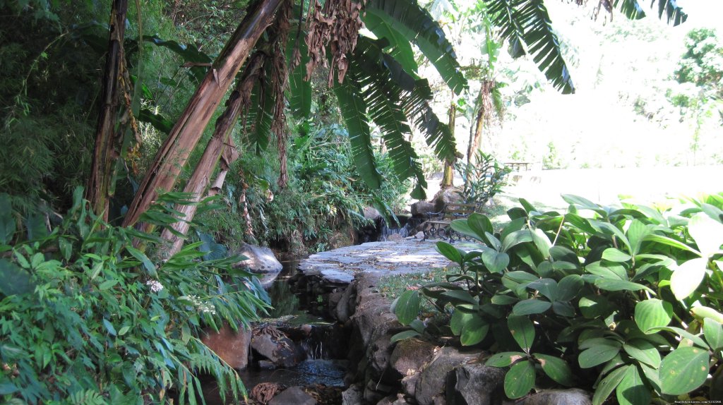 the creek and water fall | Explore Panama | Image #9/15 | 