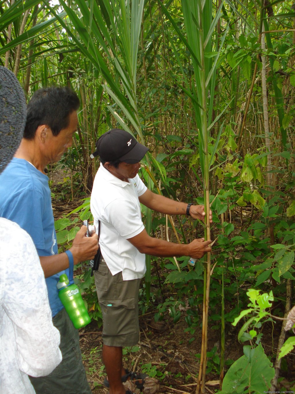 Rain Forrest Trek | Explore Panama | Chiriqui, Panama | Eco Tours | Image #1/15 | 