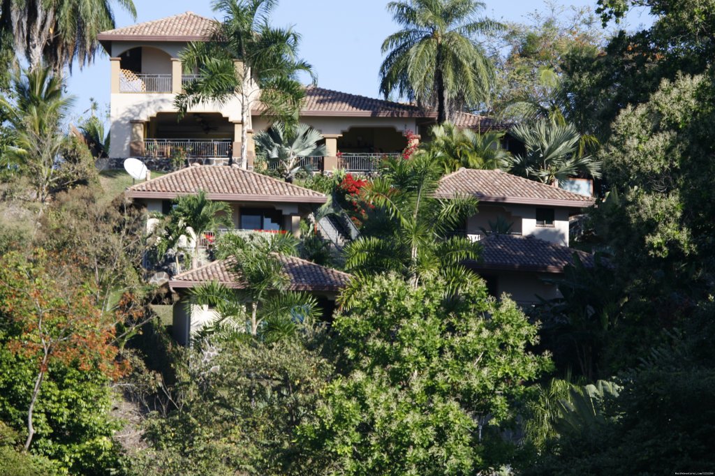 Seagull Grove | Explore Panama | Image #14/15 | 