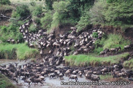 4 Days Masai Mara  And Amboseli National Park | Image #3/26 | 